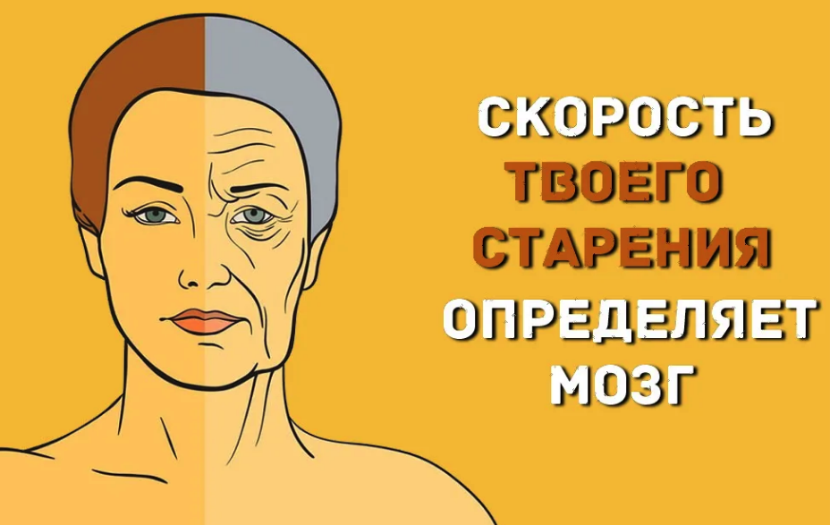 Картинки от старения мозга