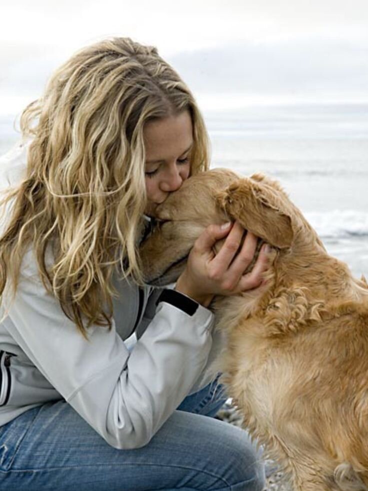 хозяин собаки. женщина с собакой. женщина любит собак. женщина любит собак. собаки любовь.