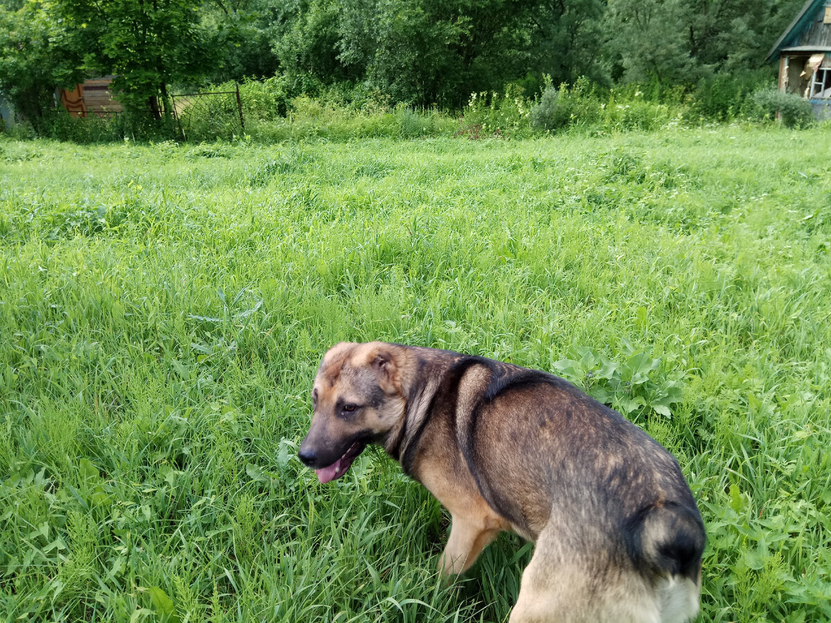 Солабай предлагает следовать за ним. 