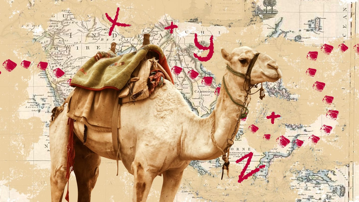 Один пояс, один путь»: уравнение со многими неизвестными