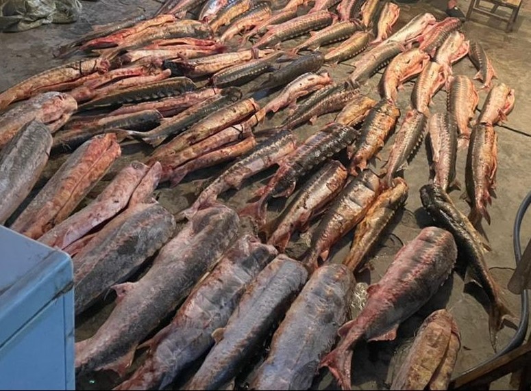 МВД Медиа📷
