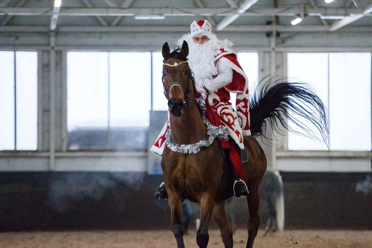 Дед Мороз у нас скакал на коне. 