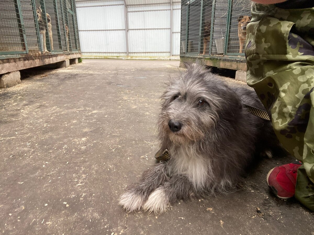 На прогулке со своим волонтером