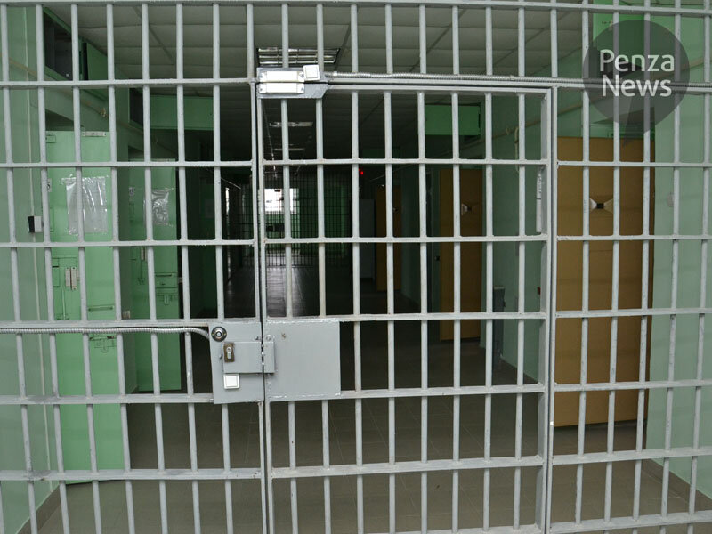   © Фото из архива ИА «PenzaNews»