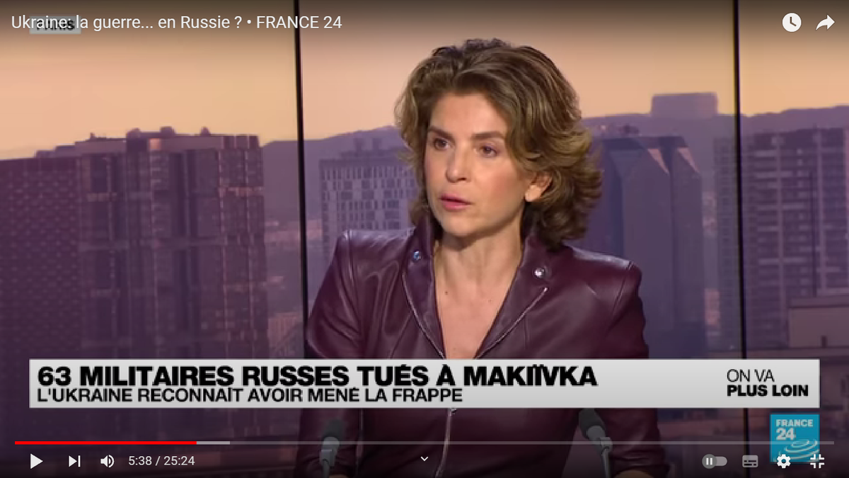 Скриншот. Анн Нива в передаче на France24. Свободный доступ в YouTube