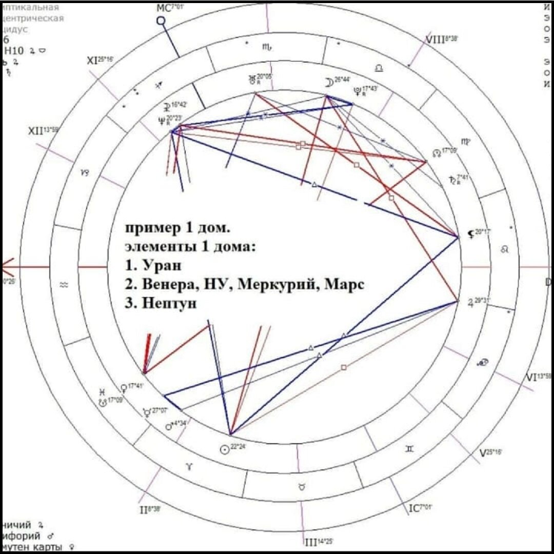Элементы (сигнификаторы) домов | Елена Брова | Дзен