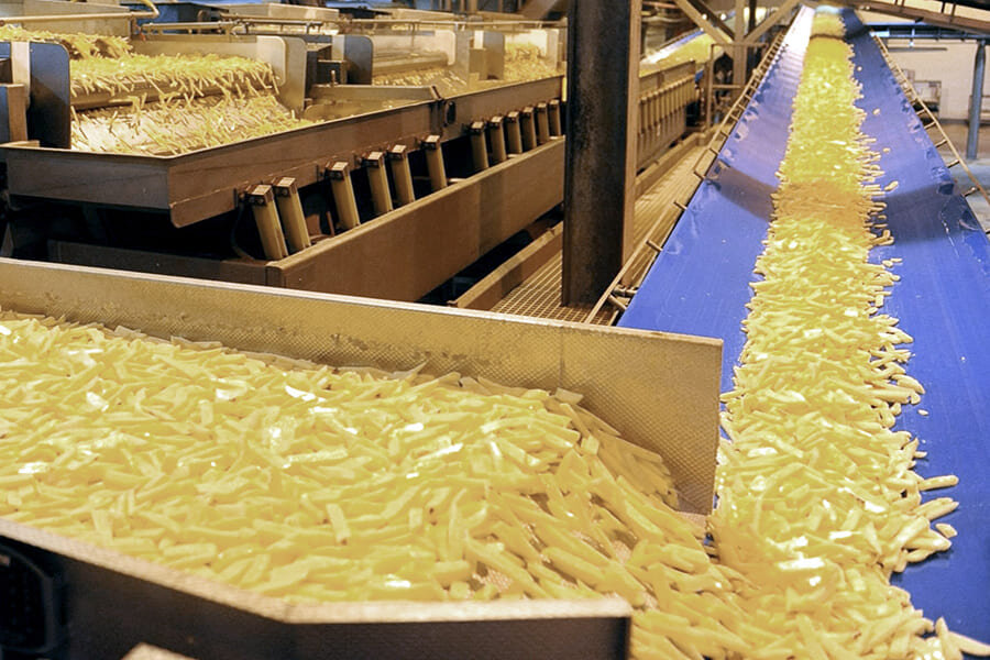 типы картофельных машин. оборудование для производства картофеля. переработчики картофеля. производство картофеля фри замороженного бизнес план. машина для производства картофеля фри.