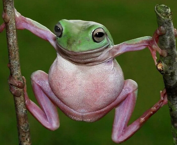 .