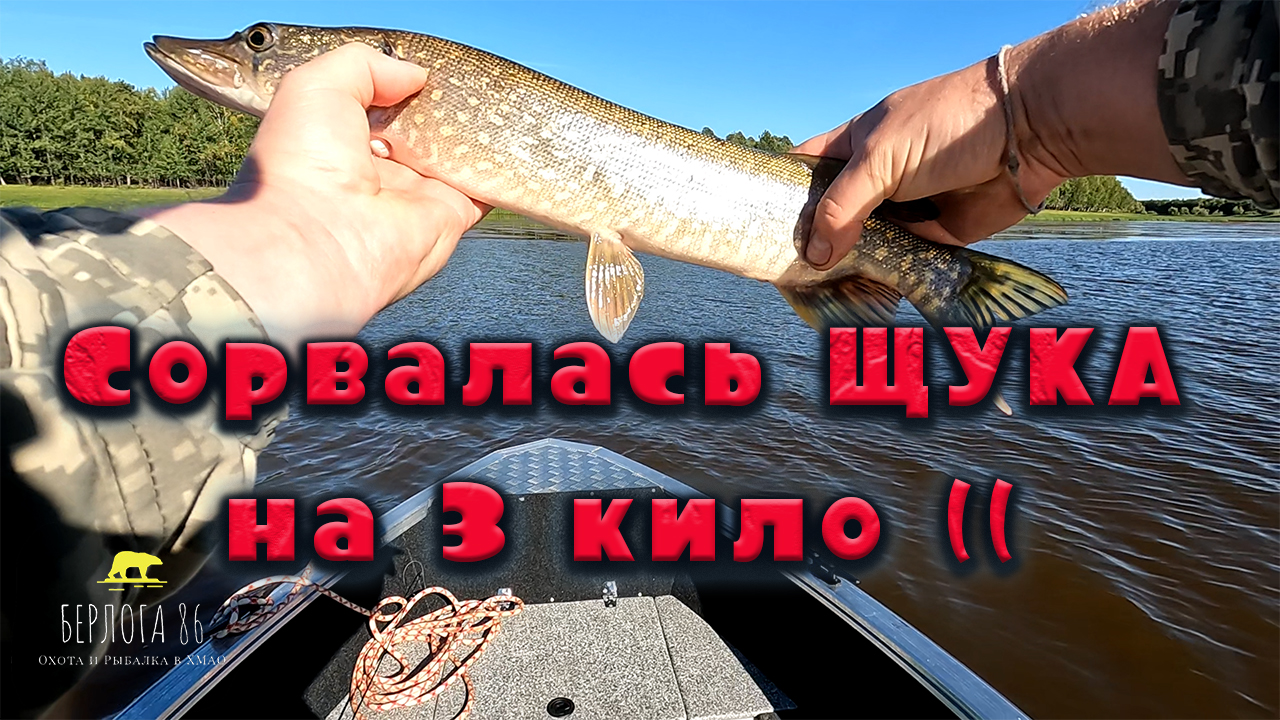 ЩУка сука сорвалась НА ДИКАРКУ ЖУралайфа в ХМАО!! Windboat 4.0 evo !!  ПОДПИШИСЬ!!