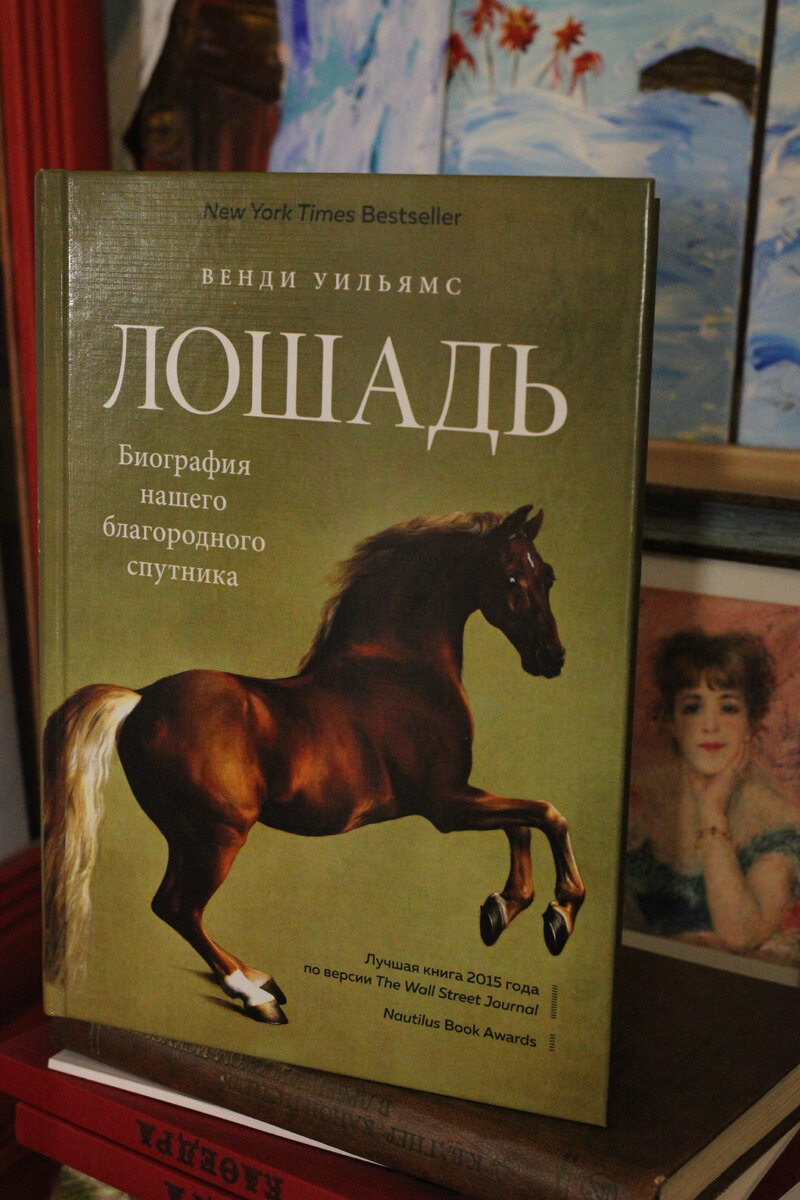 Книги верховая. Книга кони. Книги про лошадей. Книжка про лошадок. Обложка книги с лошадью.