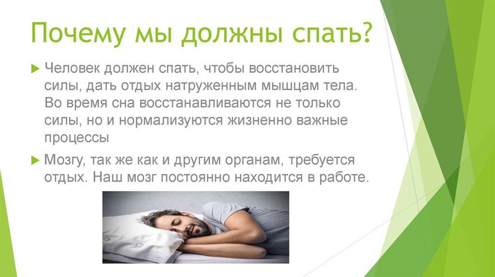 Почему человек должен спать. Зачем нужно спать человеку. Факты о здоровом сне человека. Почему людям надо спать.