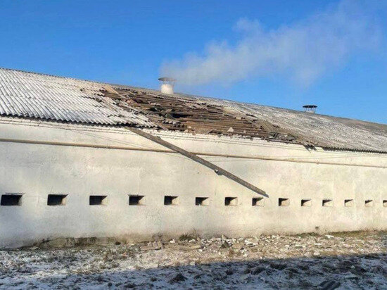     фото: телеграм-канал губернатора Белгородской области