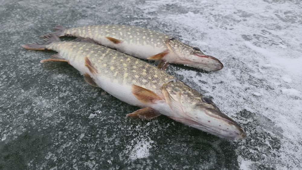 Естественные и искусственные водоемы 2 класс. В каких водоемах можно. Искусственные пресные водоемы. Водоемы бывают. Водоемы презентация.