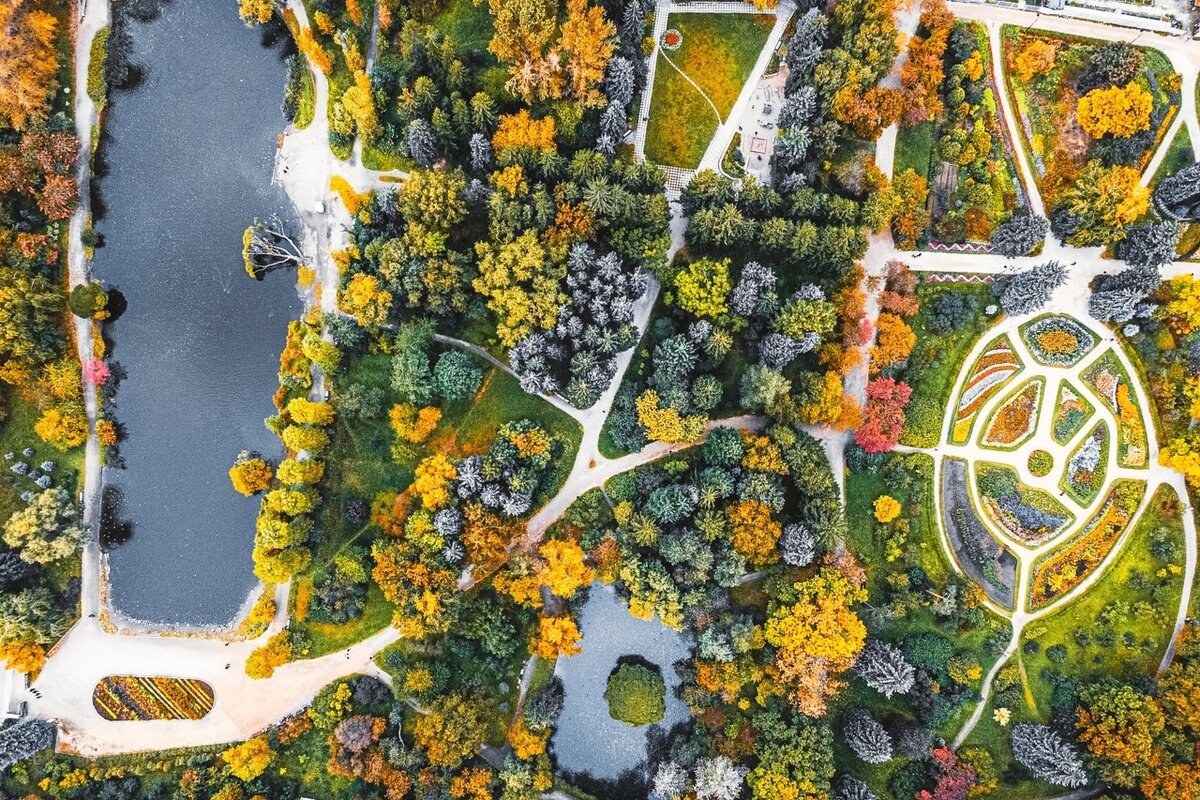 Дендрарий у гринвича екатеринбург фото