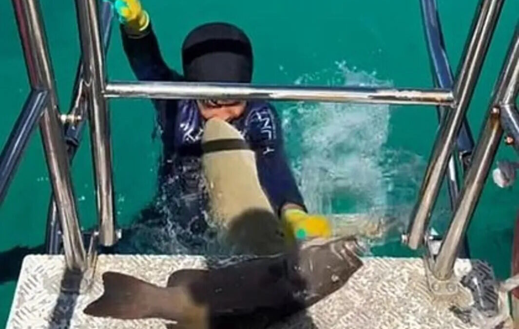 woman.rambler.ru📷
