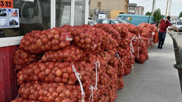    © Sputnik / Амир Исаев