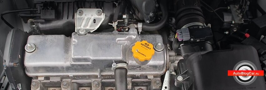 Добрый день, сегодня мы рассмотрим бензиновый двигатель Лады Приоры серии 21116 от ВАЗ объемом 1.6 литра на 8 клапанов мощностью 87 лошадиных сил с крутящий моментом 140 Ньютон на метр и узнаем ресурс, характеристики, распространенные неисправности (болячки и поломки), расход топлива, цены на новый/контрактный двс, отзывы на мотор. Кроме того, выясним, насколько практичен в ремонте/обслуживании вазовский силовой 1.6-литровый агрегат, а также, какими достоинствами и недостатками обладает мотор 8-ми клапанного семейства ВАЗ, которым оснащается популярная на постсоветском пространстве бюджетная модель Лада Приора/Lada Priora (с различным типом кузова).

