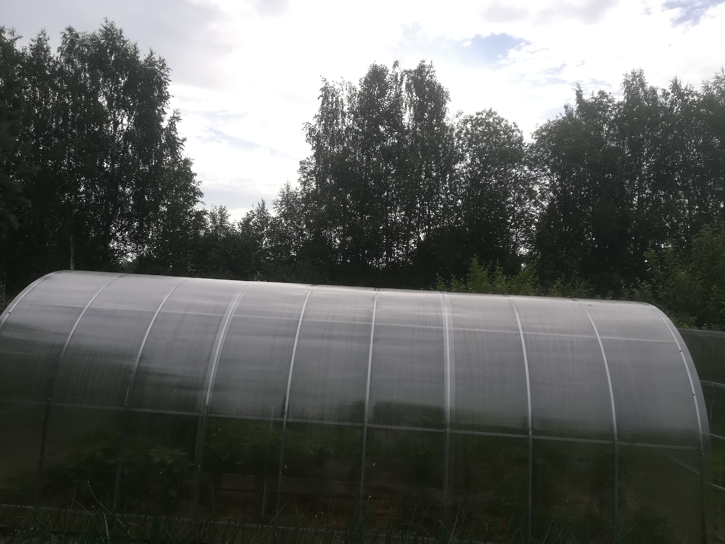 В прошлом году поставили теплицу из поликарбоната — выгодная ли эта вещь, если выращиваешь овощи для себя2