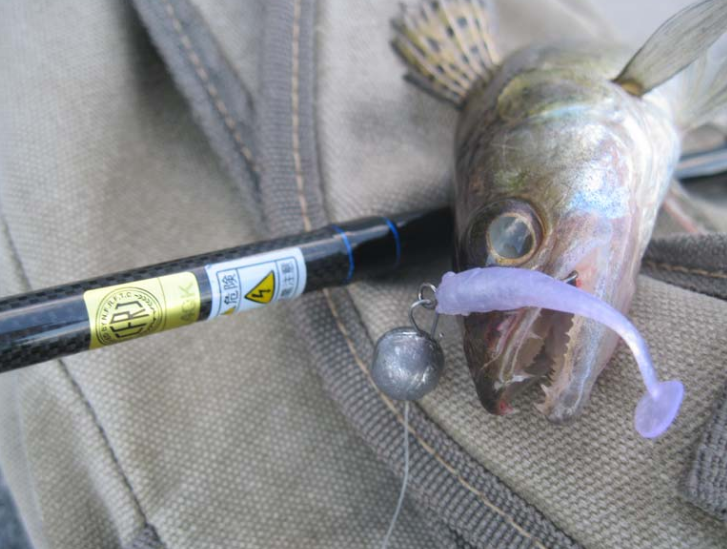 Фотография взята из источника hosports.eu 