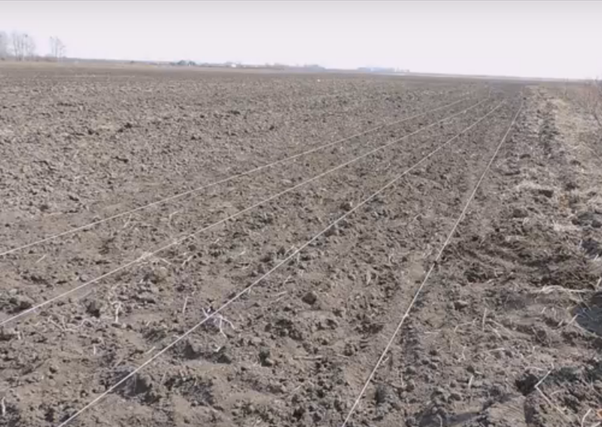 Шпагат для стройности рядов. 