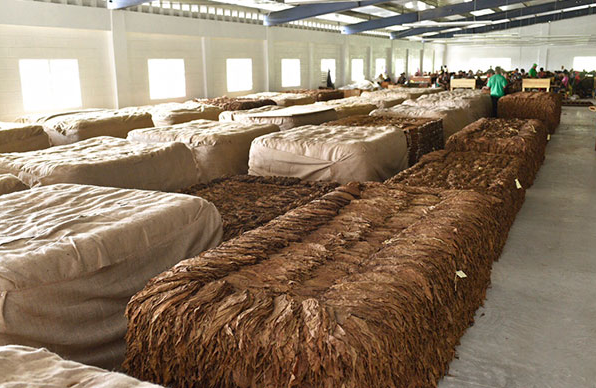 Фото из открытых источников.