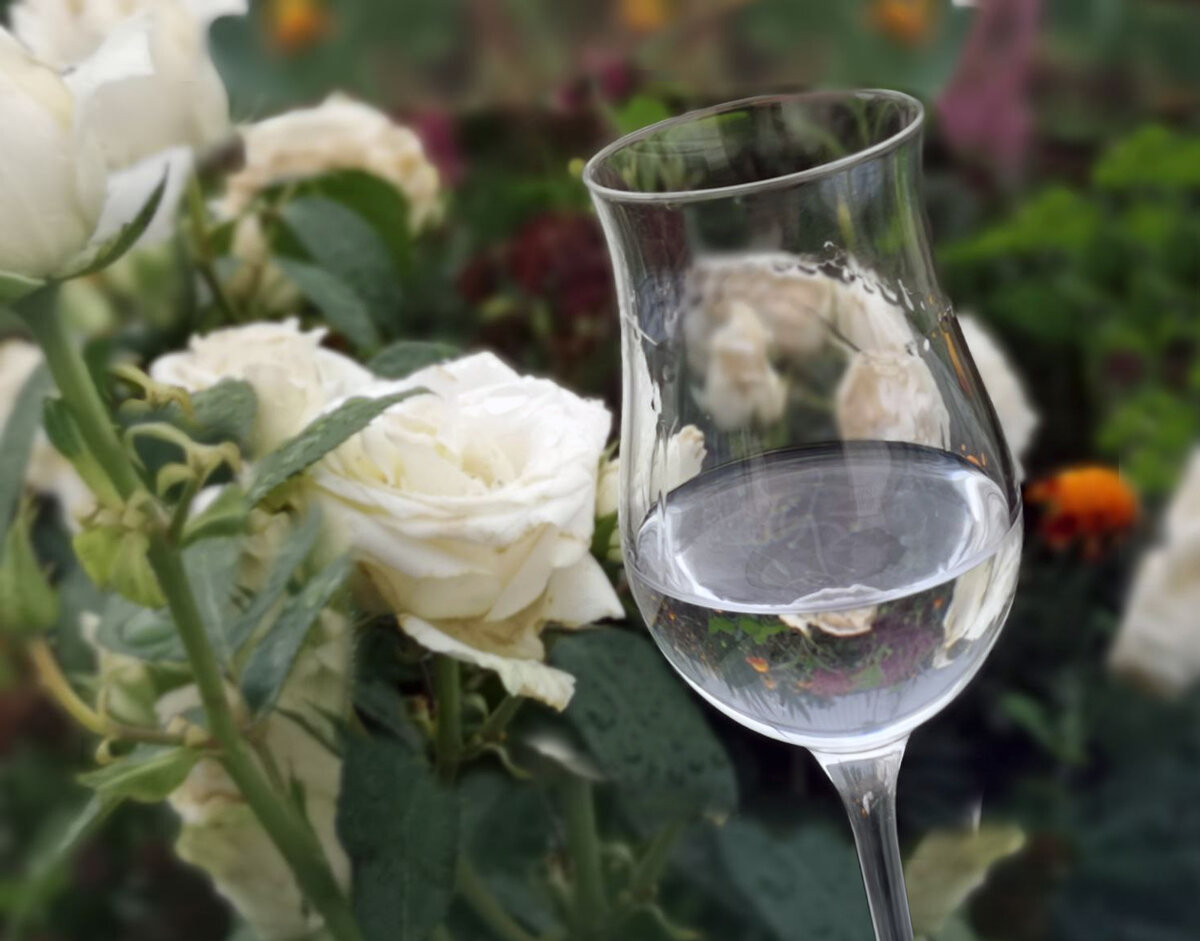 Этот напиток точно удивит ваших гостей и придётся по вкусу многим