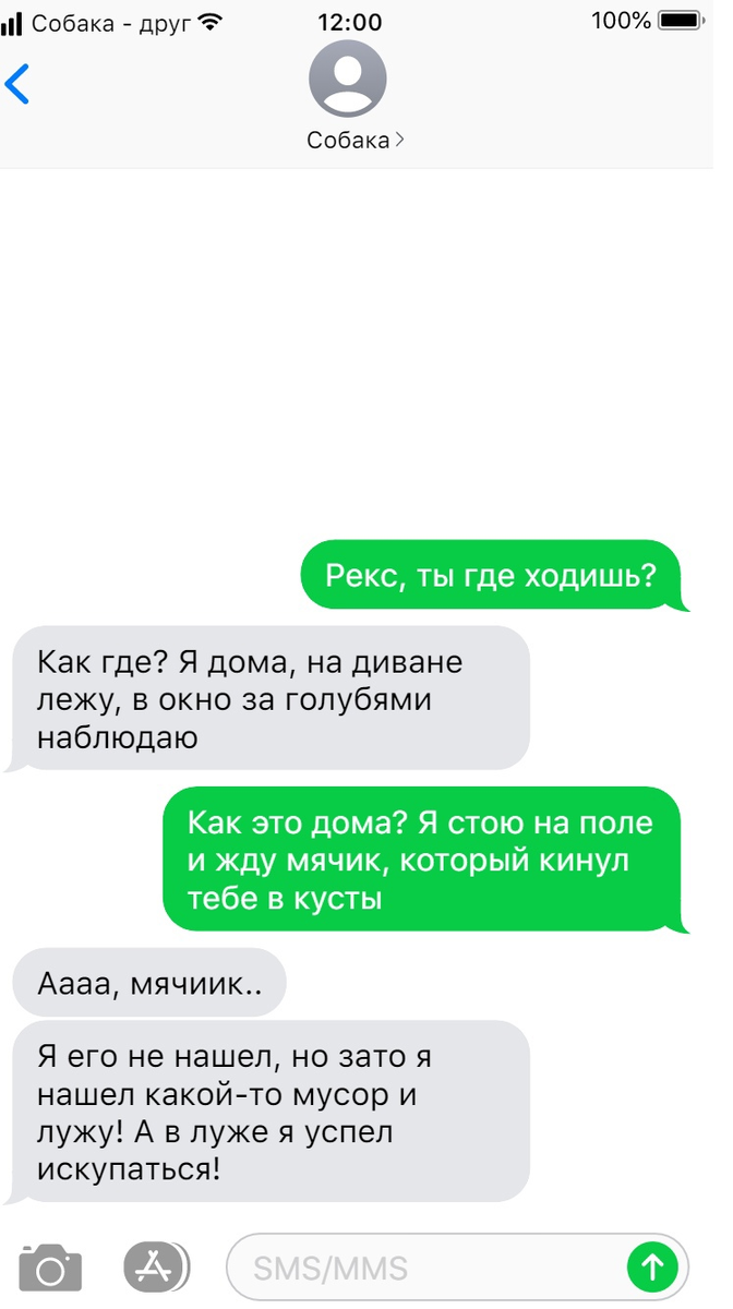 Вот так бы выглядели переписки собаки и хозяина, если бы собаки умели  разговаривать | Собака - друг человека | Дзен