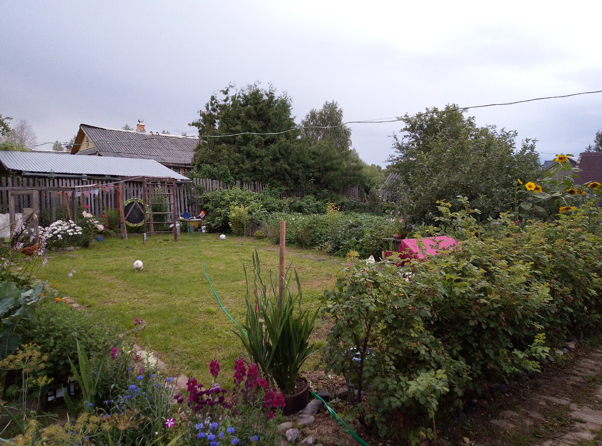 Зеленый дворик