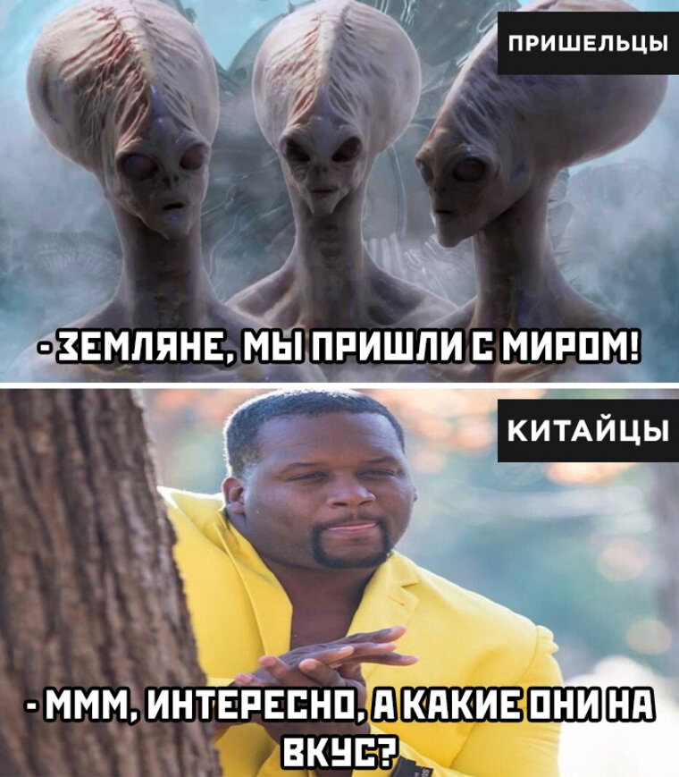 Самые популярные мемы картинки