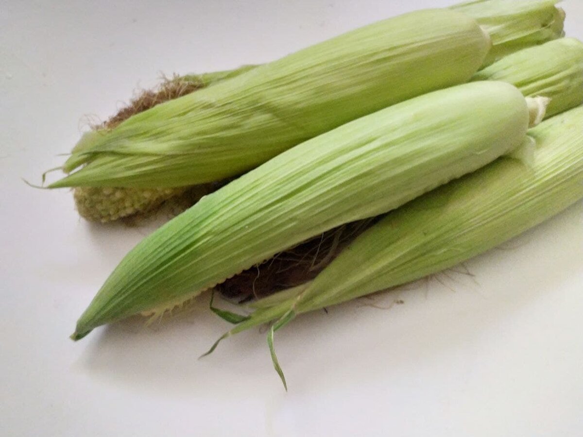 Покупаем початки в листьях!