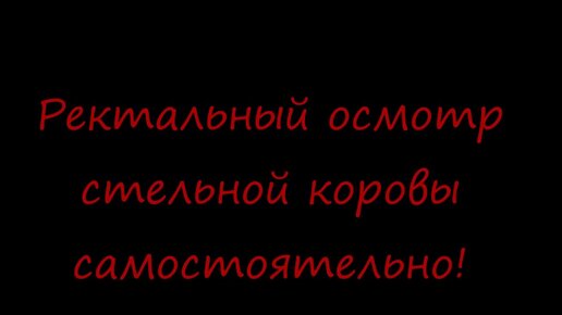 Ректальный осмотр предстательной железы (простаты)