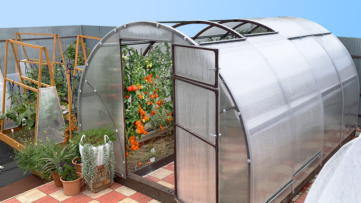 Теплица СИГМА 