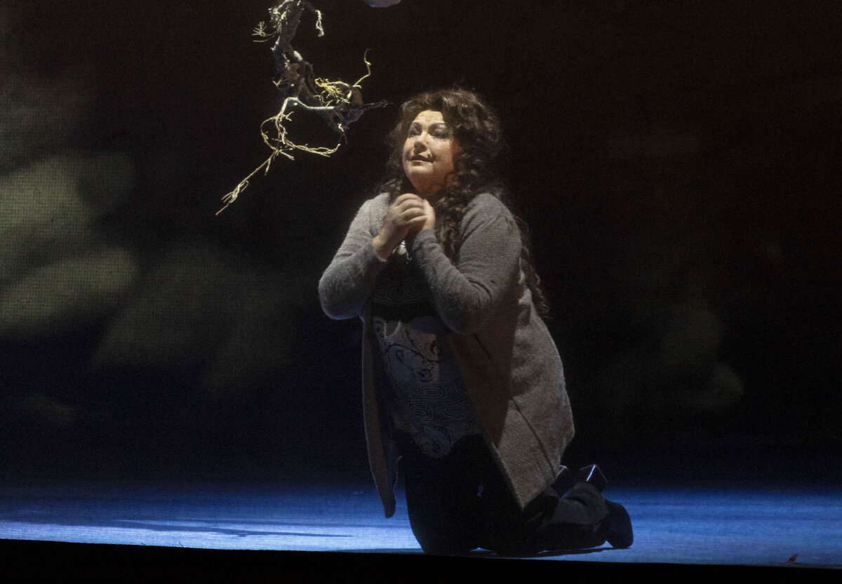 Фото Наташи Разиной 