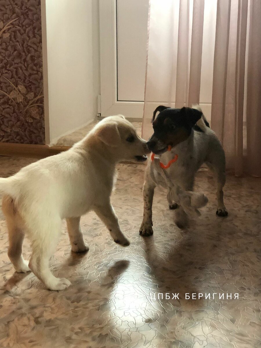-2