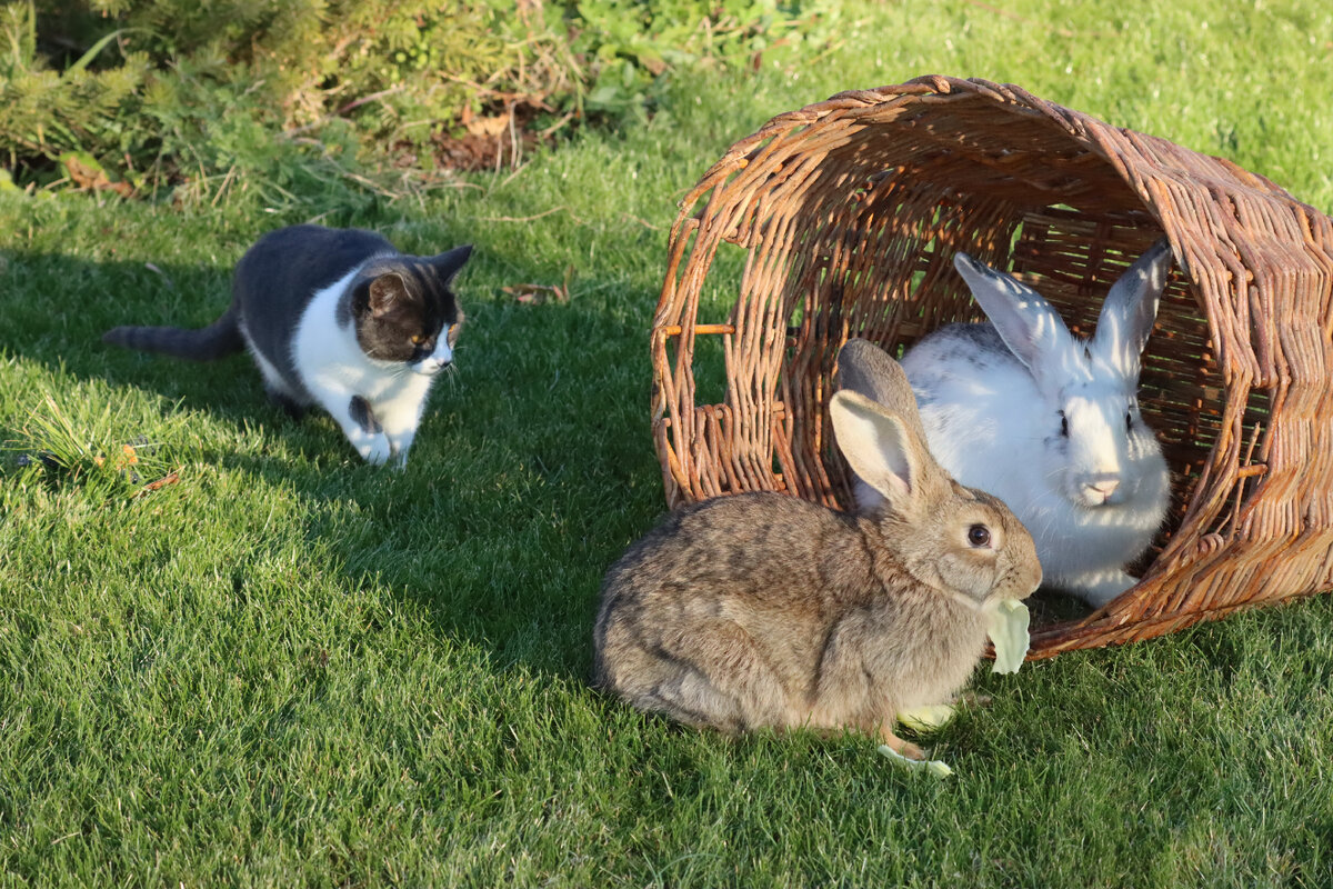 Наши новые гости