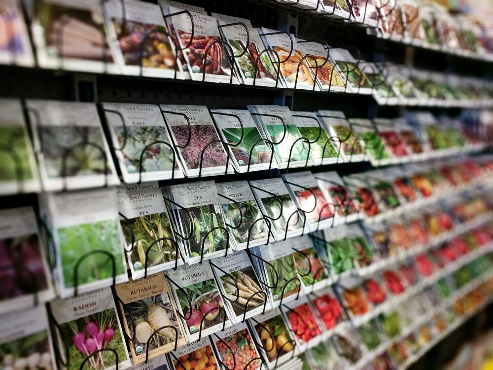 Фото: drummersgardencenter.com