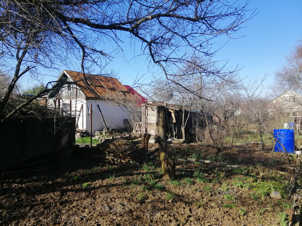 Место будущей стройки. Февраль 2021