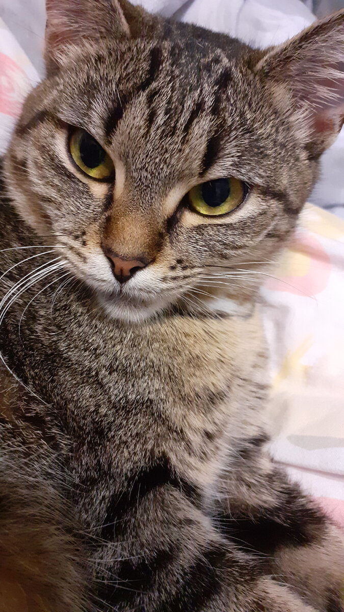 Просто очень умная Маняша. И попробуй ей что-то скажи не так))