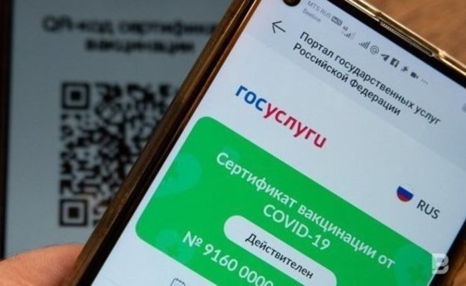 Такое изображение появляется на экране смартфона, если просканированный QR-код действителен