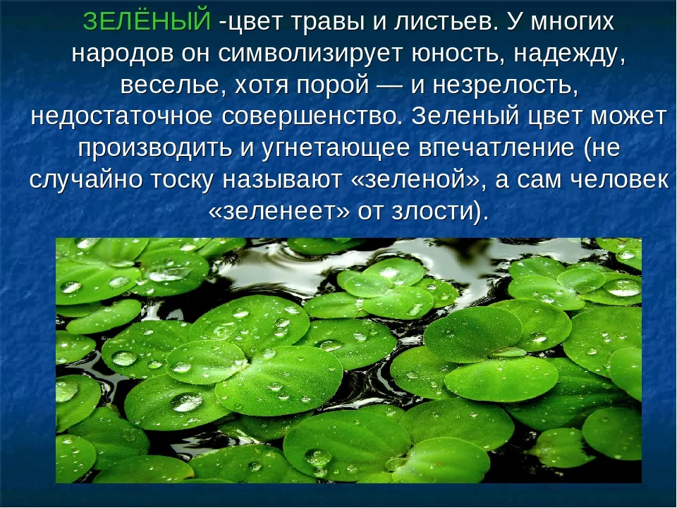 зеленвйцвет в психологии. зеленый цвет в психологии. что можно сказать о зеленом цвете. что можно сказать о зеленом цвете. что можно сказать о зеленом цвете.