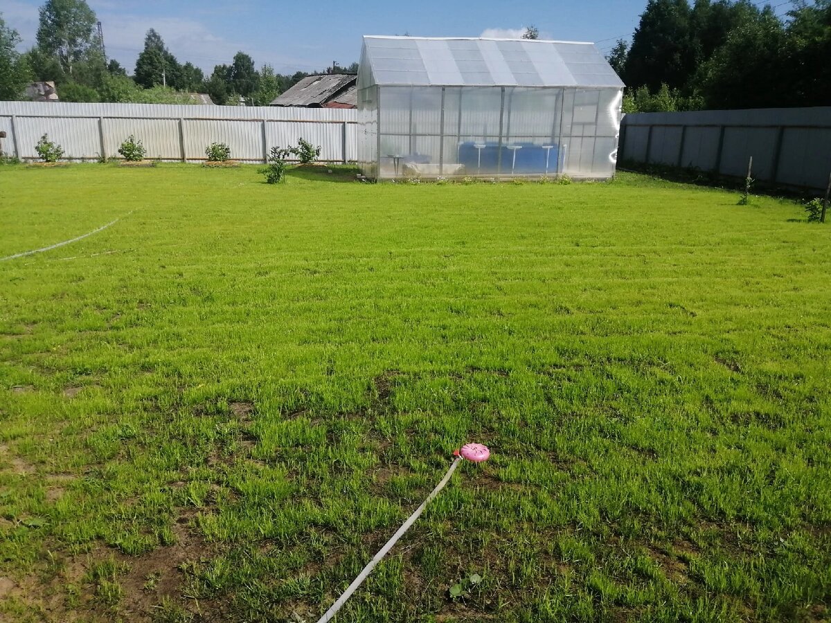 Четыре сотки, площадь участка