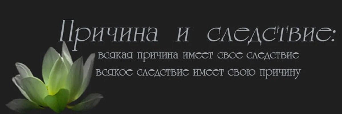 Факт следствие. Закон причины и следствия. Причина и следствие. Причина и следствие картинки. Причина и следствие поговорки.