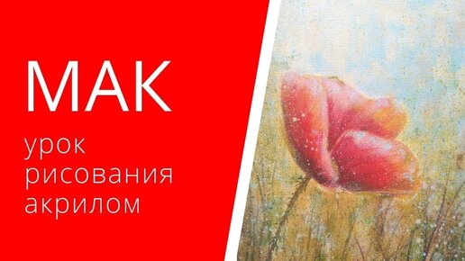 Как нарисовать мак | Пошаговый урок рисования акрилом