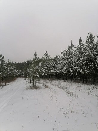 рафия из личного архива автора