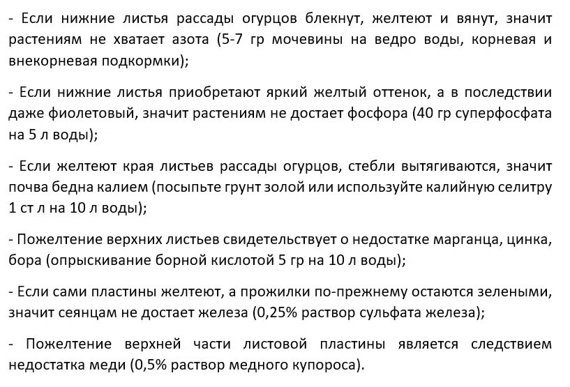 Причины пожелтения рассады огурцов и способы борьбы