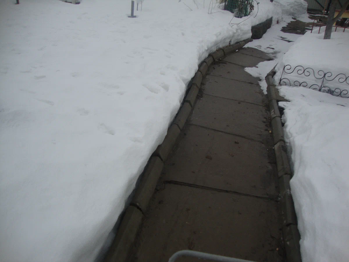 так было два дня назад