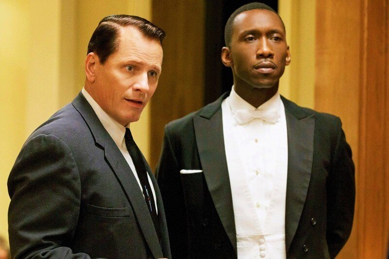 1960-е годы. После закрытия нью-йоркского ночного клуба на ремонт вышибала Тони по прозвищу Болтун ищет подработку на пару месяцев. Как раз в это время Дон Ширли — утонченный светский лев, богатый и талантливый чернокожий музыкант, исполняющий классическую музыку — собирается в турне по южным штатам, где ещё сильны расистские убеждения и царит сегрегация. Он нанимает Тони в качестве водителя, телохранителя и человека, способного решать текущие проблемы. У этих двоих так мало общего, и эта поездка навсегда изменит жизнь обоих.