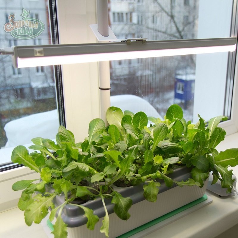 лампа дневного освещения