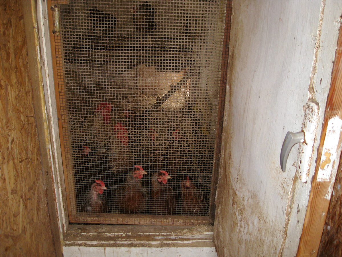 Так выглядит дверь из сетки