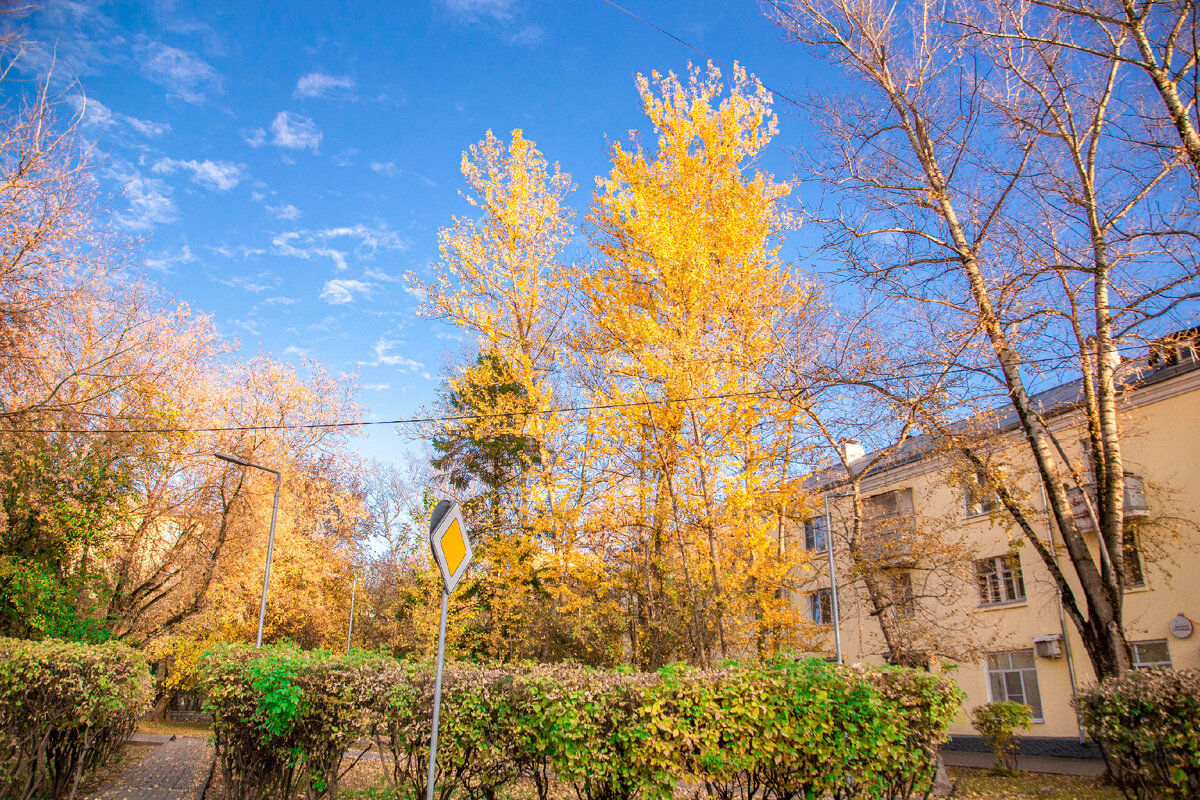 "Золотые" дворы Щербинки.